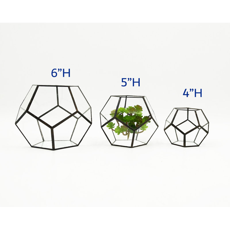 Terrarium cuivré de Norvège, Noir, H 5 po x l 6 po x P 6 po