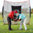 GaGalileo Goal