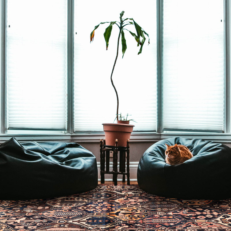Tapis brun rétro Kayseri 4 pi 4 po x 6 pi 5 po