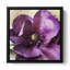 «Purple Spring Rhapsody 4 I» par Irena Orlov, impression sur toile pourpre Fine Art Gallery-19507342