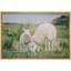 Animaux, Écosse, Irlande, campagne, mouton, agneau-93629502-93629500