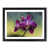 Black Framed selected