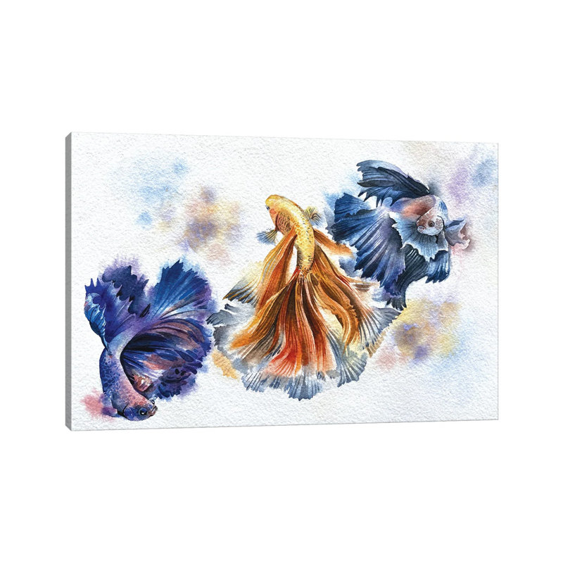 Beta Fish 1 Piece Wrapped Canvas Painting, 30.48 cm H x 45.72 cm W
