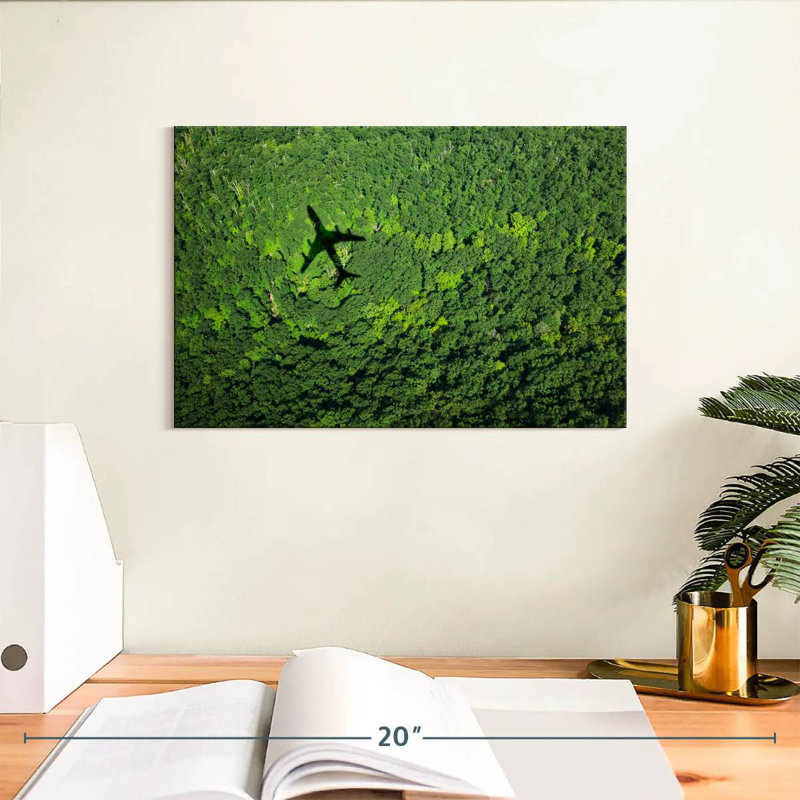 Mehar avion au-dessus de la forêt, H 8 po x l 12 po