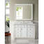 Bristol 48'' W Single Vanity-27215776-121689382-35610171