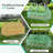 Masyardi 4'x2'x2' Mini house-116008044