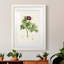«Pretty Botanicals III», cadre photo-1776683591-1776683595