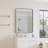 Modern Wall Mirror, Rectangular Mirror, Metal Framed Mirror