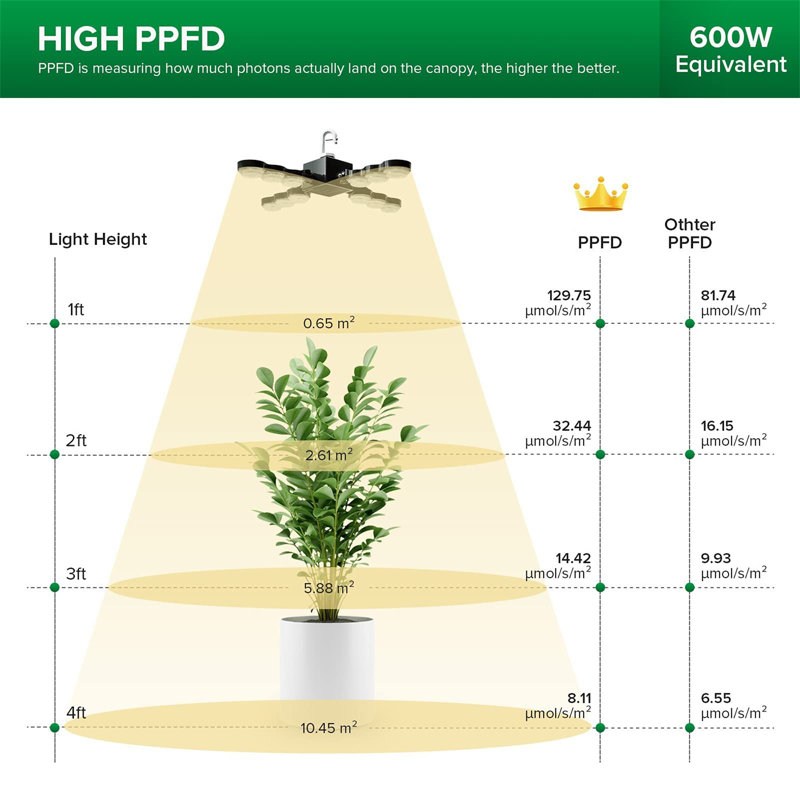 Brayden Studio Grow Light