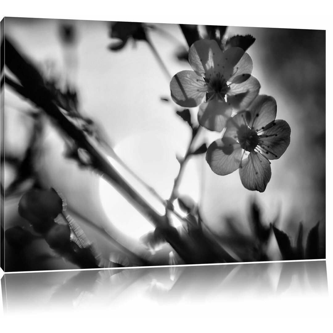 Leinwandbild Blüten am Baum in Monochrom