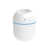 White est en rupture de stock