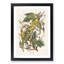 Carolina Parrots by John Audubon - Picture Frame Painting Print-55513800-55513797