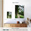 Alvord Mountain View 16-108434387