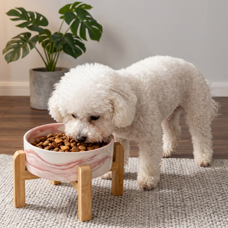 Bol pour chien surélevé en céramique de 6 po avec support en bambou de 6 po, 3,6 tasses, lesté antidérapant, pour petits / moyens chiens et chats