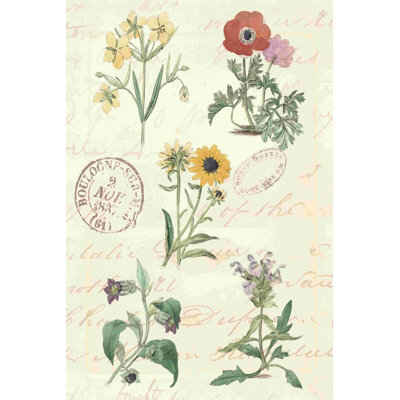 " Botanical Journal IV " by Vision Studio