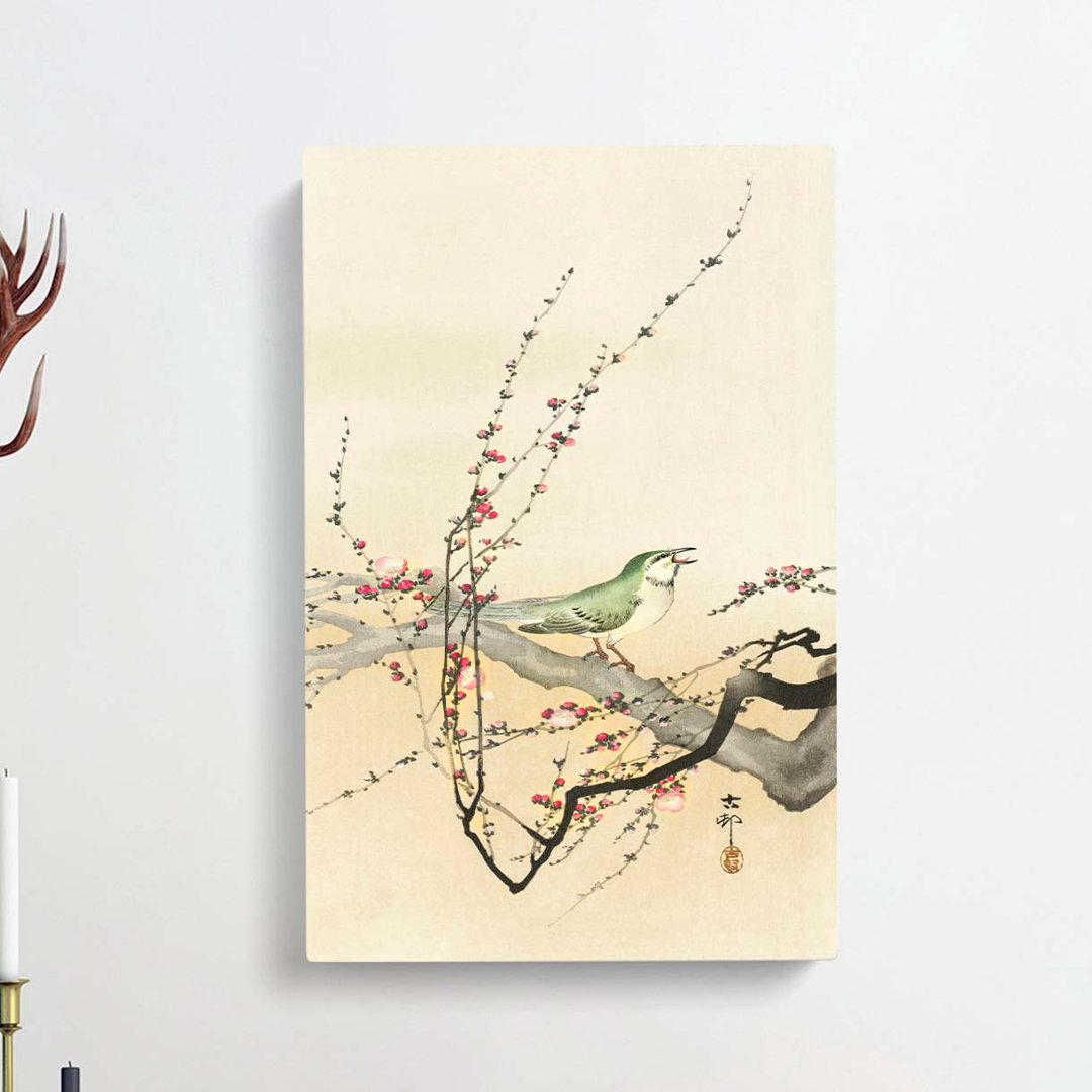 Songbird In A Plum Blossom Tree by Ohara Koson - Wrapped Canvas