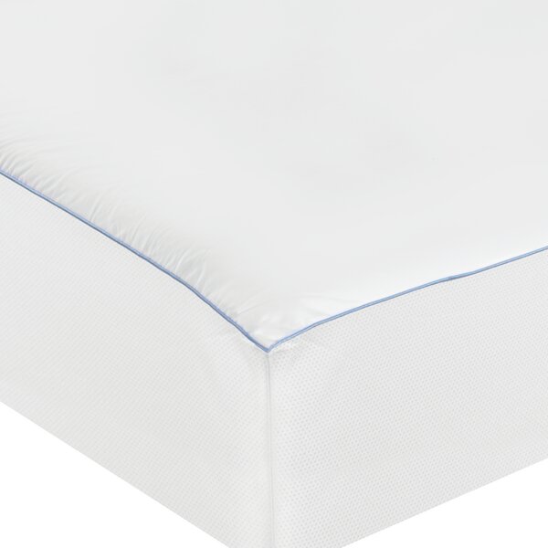 Sealy Cooling Comfort Hypoallergenic Mattress Cover & Reviews | Wayfair