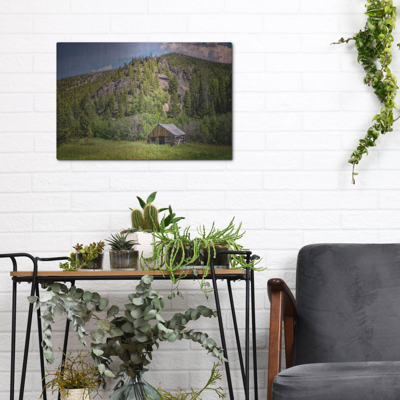 Art mural en métal «Abandined Cabin Custer Id» par Rick Berk, H 12 po x l 16 po
