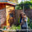 8' Backyard: Above Ground Trampoline with Safety Enclosure