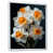 Cadre flottant blanc