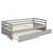 Delannie Day Bed with Trundle Bed-1722908504