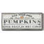 «Pumpkin Patch I», toile encadrée-110632016