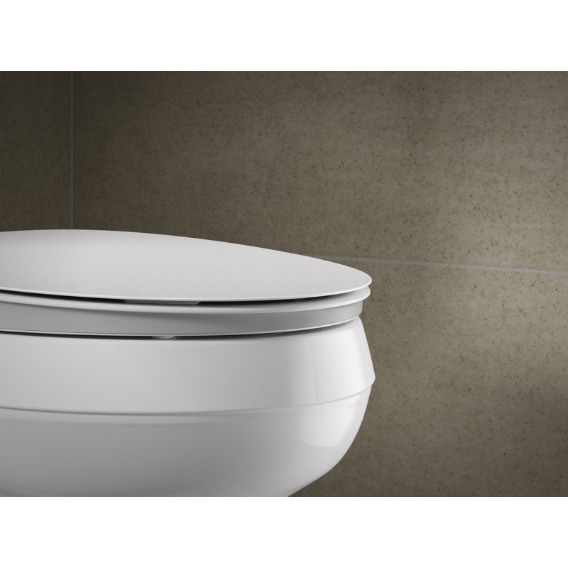 Cymbal Readylatch Quiet-Close Elongated Toilet Seat, Gray/White
