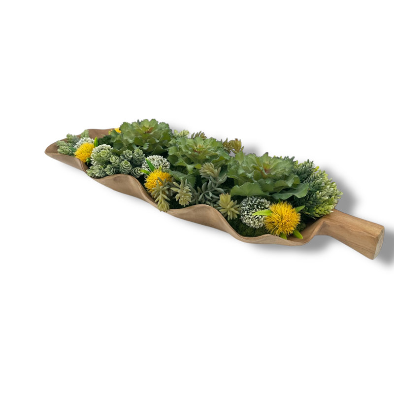 Conception succulente dans un vase en bois de noyer naturel en forme de feuille