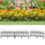 Rudi 32.5cm H x 60cm W Edging-1539606849