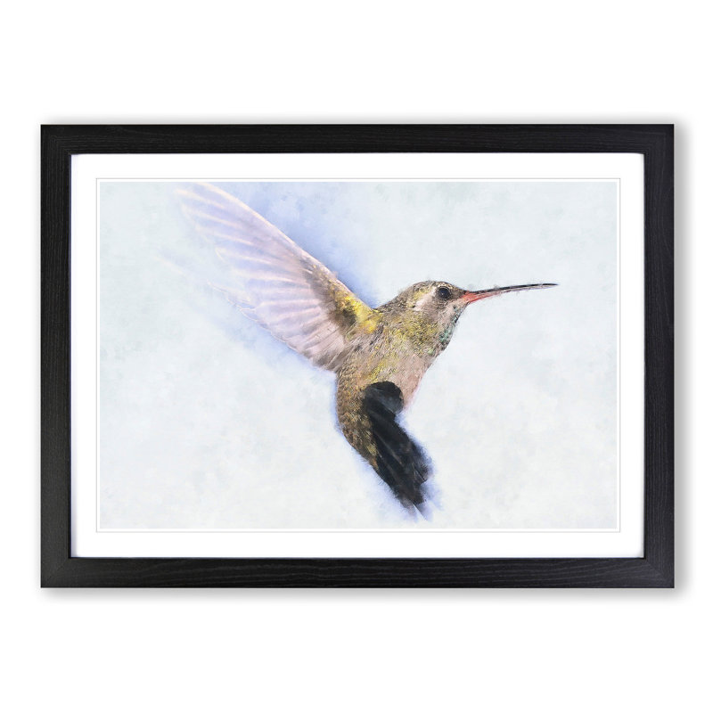 Flying Hummingbird Bird - Picture Frame Graphic Art Print, 33cm H x 45cm W x 2cm D, Black Framed