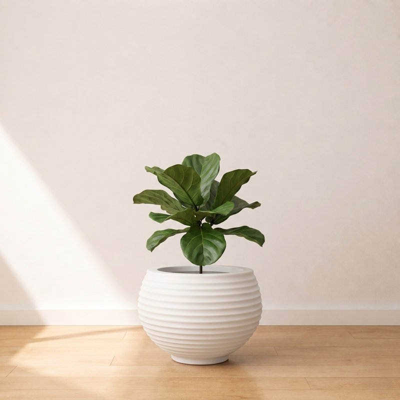 Pot à fleurs rond Josobyn ECOBO EcoFriendly, utilisation intérieure Heliconia, utilisation quatre saisons, Blanc