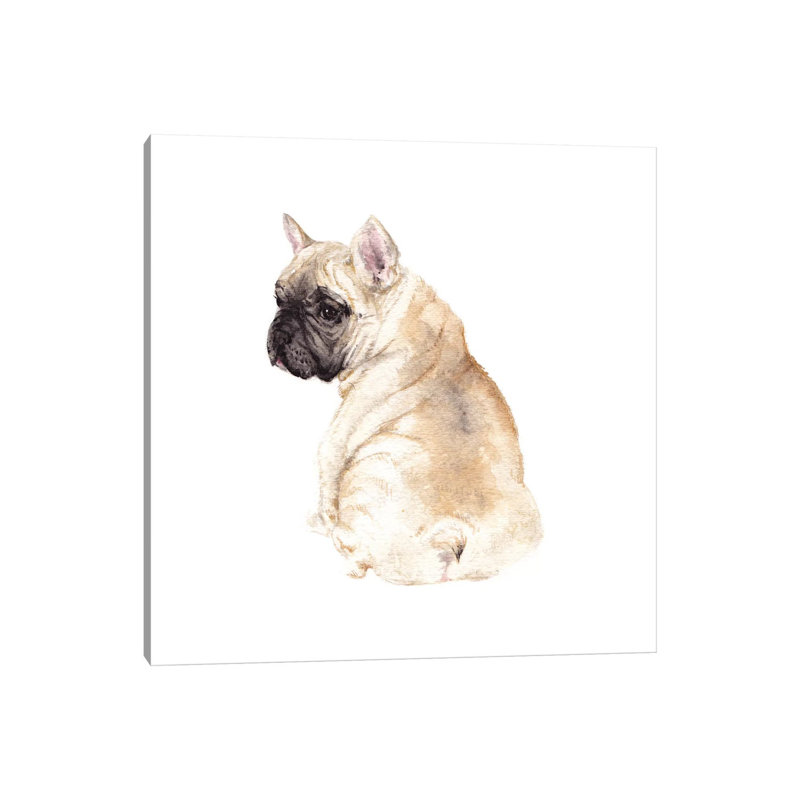 Frenchie by Wandering Laur - Wrapped Canvas Print, 30.48 cm H x 30.48 cm W