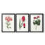 Roseat Blooms I - impression encadrée sur mesure de qualité supérieure mate - 3 pièces-456063108-456063110