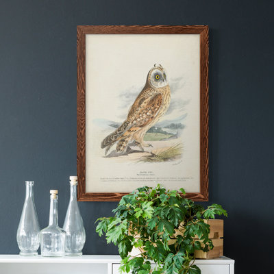 " Hawk Owl " Painting Print