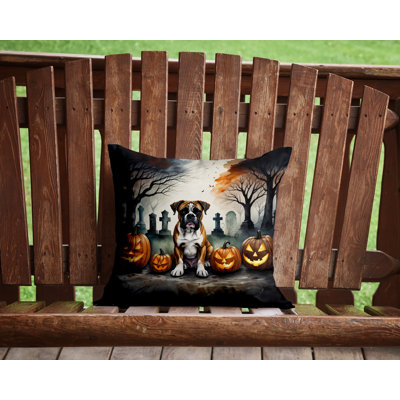  Other/No Pattern Polyester Indoor/Outdoor Throw Pillow