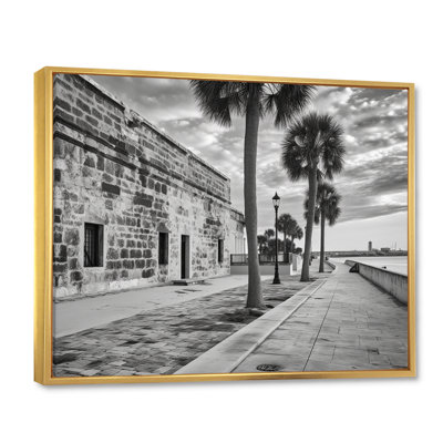 «Black and White Florida Sunshines State I», reproduction d'art sur toile