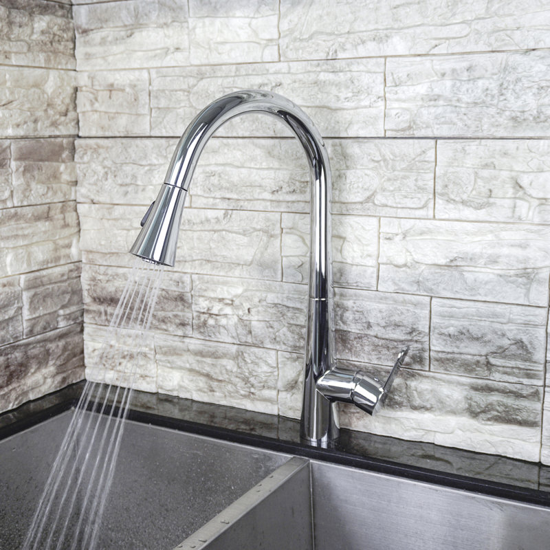 Belfry Kitchen Galvez Pull Out Kitchen Faucet