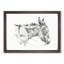 The Head of a Donkey by Jean Bernard - Picture Frame Drawing Print-55611183-55611184