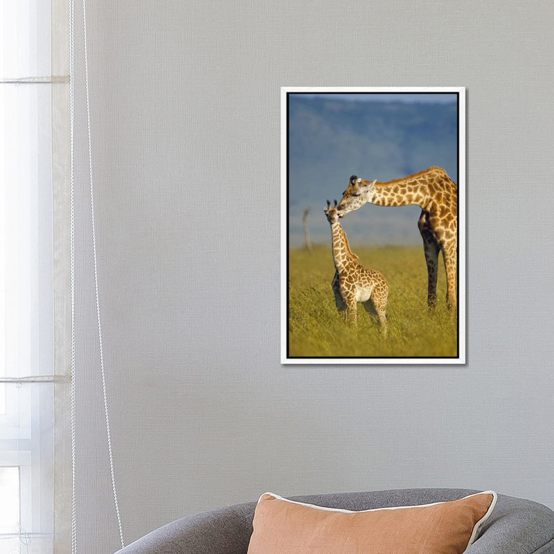 Masai Giraffe Mother And Young, Kenya I by Tim Fitzharris - Floater Frame Gallery-Wrapped Canvas Giclée on Canvas, White