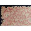 Antique Peking Chinese Beige 1920s Rug