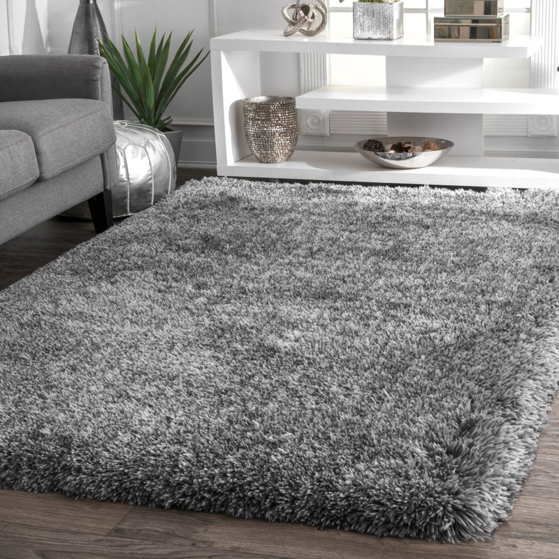 Tapis à poils longs Brinskelle, Rectangle 6 pi x 9 pi