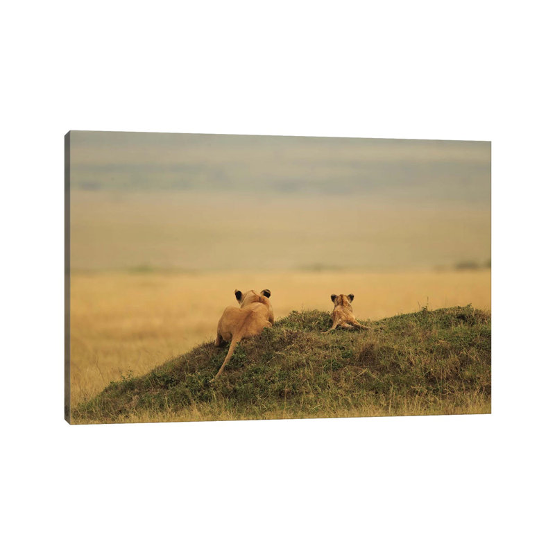 One Day It Will Be Yours by Massimo Mei - Wrapped Canvas Print, 20.32 cm H x 30.48 cm W