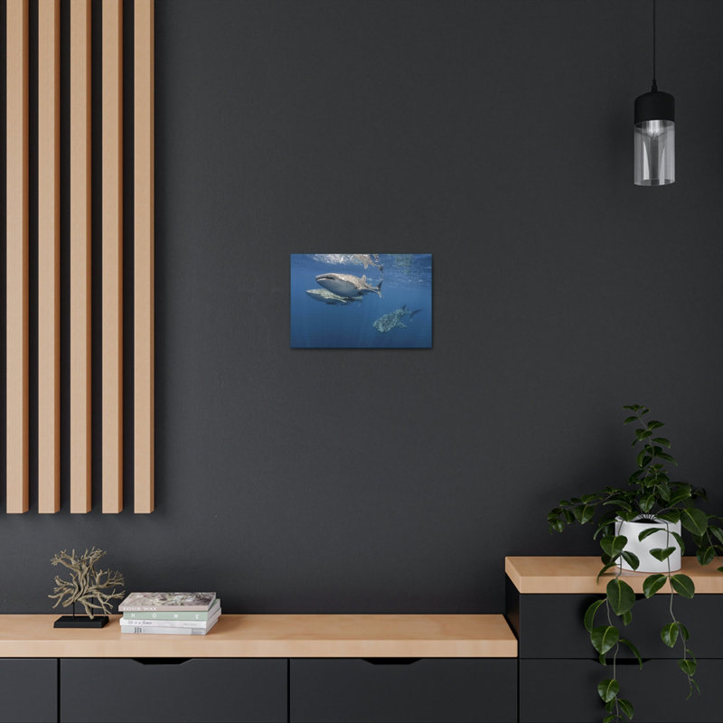 Whale Shark Group Whale Shark Troop Print Animal Wall Art, 12" H x 18" W