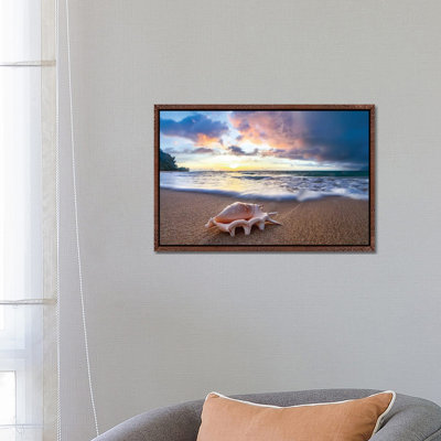 Shell Sea Drops by Sean Davey - Gallery-Wrapped Canvas Giclée on Canvas