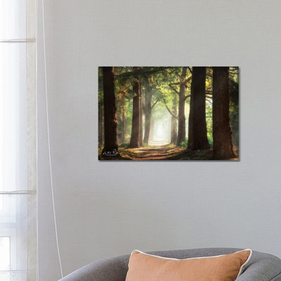 Fresh Green Forest by Martin Podt - Wrapped Canvas Print