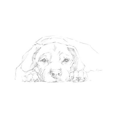 Lazy Dog III by Ethan Harper - Painting on Canvas