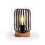 Metal Novelty Lamp