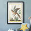 Pastel Birds IV - reproduction de cadre photo-190623259-190623260