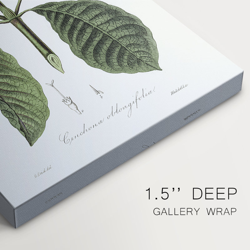 Tropical Botanical IV - Cavas enveloppés de galerie, H 36 po x l 24 po