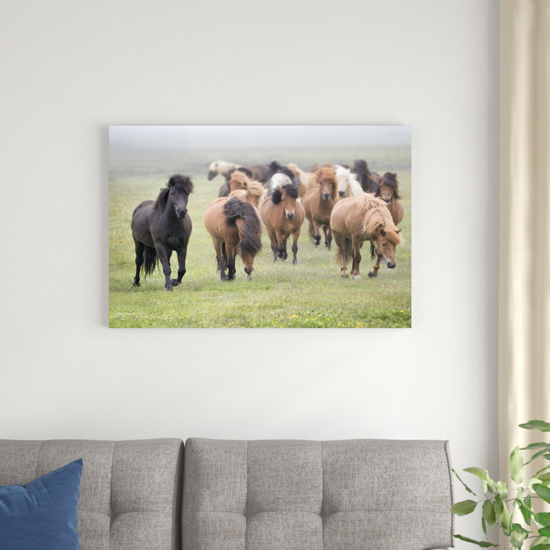 Grassland Horses II, H 24 po x l 36 po x P 1,25 po